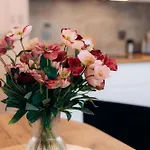 شقة Cozy Corner بوزنان