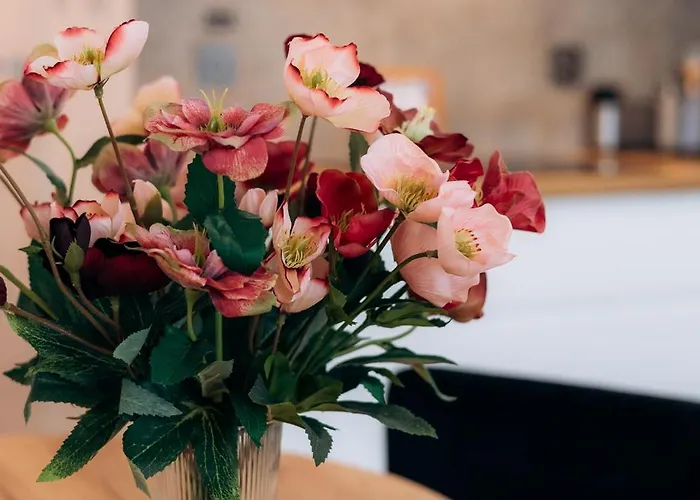 شقة Cozy Corner بوزنان